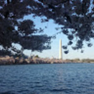 Meet your Posher, Rafah